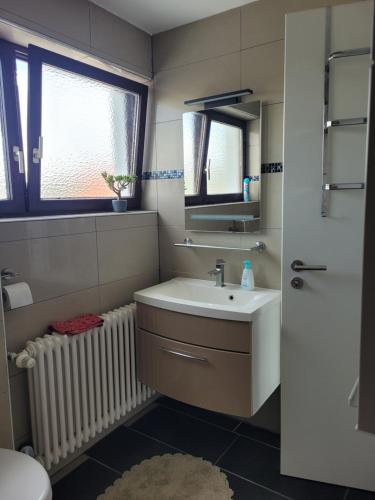 ein Badezimmer mit einem Waschbecken, einem Spiegel und einem Heizkörper in der Unterkunft Ferienwohnung Bodensee Nähe in Rielasingen-Worblingen