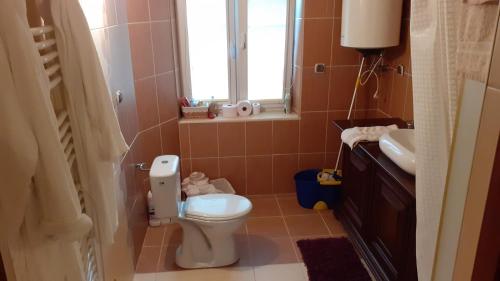 a bathroom with a toilet and a sink and a window at Dom wśród drzew i pól. in Handzlówka
