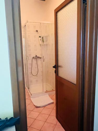 a bathroom with a shower and a door with at Fori Vodo in Divjakë