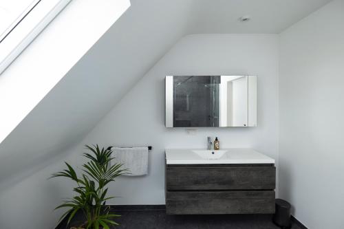 La salle de bains est pourvue d'un lavabo et d'un miroir. dans l'établissement Vakantiehuis Paula, à Watervliet