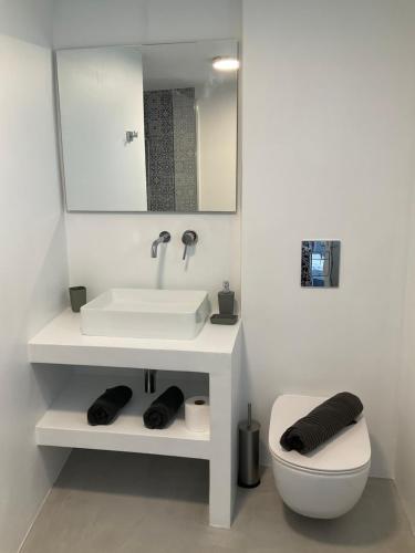 een badkamer met een wastafel, een toilet en een spiegel bij Okeanos in Skiathos-stad