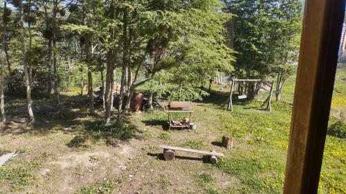 a view of a park with a bench and trees at Hogar del Sur in Tolhuin