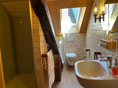 La salle de bains est pourvue d'un lavabo et de toilettes. dans l'établissement Altstadtliebe, à Bad Säckingen