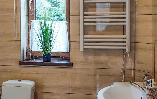 a bathroom with a toilet and a window with a plant at Awesome Home In Lesko With Kitchen in Lesko