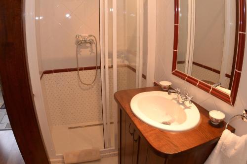uma casa de banho com um lavatório e um chuveiro em Levendula Porta és Pajtaszínház em Orfű