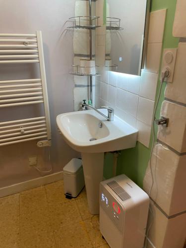 a bathroom with a sink and a mirror at Résidence du bord du Tarn in Millau