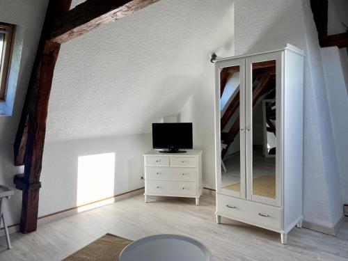 Hôtel Particulier de Champrondにあるテレビまたはエンターテインメントセンター