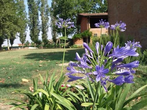 Fotografia z galérie ubytovania B&B IL NAVIGLIO di Antonelli Fabio v destinácii Bastiglia