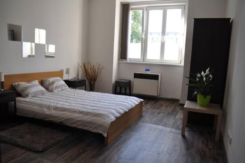 a bedroom with a large bed and a window at Apartment in Praha 3 in Prague