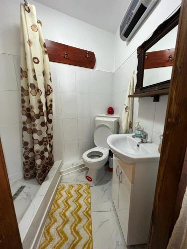 a bathroom with a toilet and a sink at Casa Corina in Vişeu de Sus
