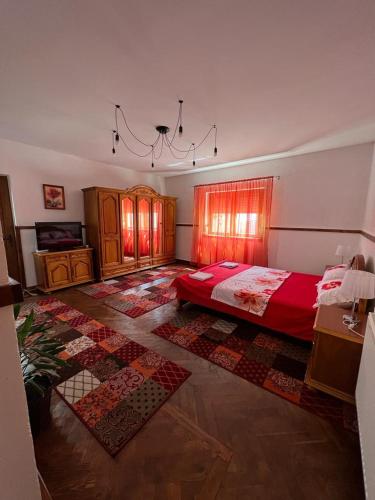 a bedroom with a bed and a rug in it at Casa Corina in Vişeu de Sus