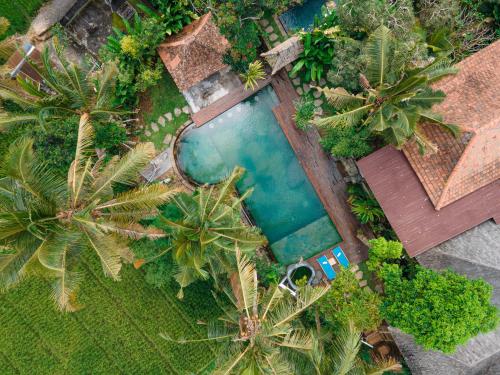an overhead view of a swimming pool with palm trees at Uma Linggah Resort in Tampaksiring