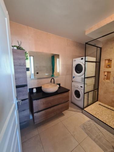 een badkamer met een wastafel en een wasmachine bij Appartement Moderne & Chaleureux in Le Tampon