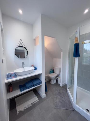 W łazience znajduje się umywalka, toaleta i prysznic. w obiekcie Maison Chez Marinette w mieście Verdun-sur-le-Doubs