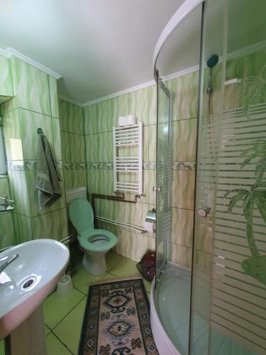 アルバクにあるPensiunea CLAのバスルーム(洗面台、トイレ、シャワー付)