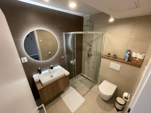 La salle de bains est pourvue d'une douche, d'un lavabo et de toilettes. dans l'établissement Apartmán Snow, à Oravská Lesná
