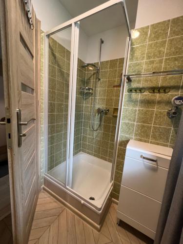 a shower with a glass door in a bathroom at SWEET APP AM SEE in Pönitz am See
