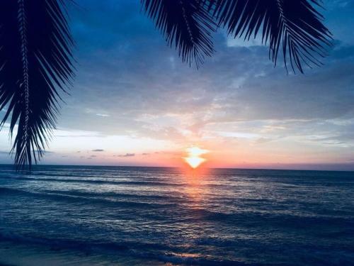 a sunset over the ocean with a palm tree at Chucho's mom house in Temalhuacán