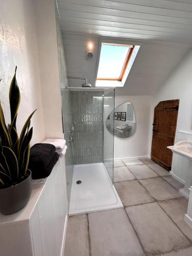 a bathroom with a shower and a potted plant at Stunning Cottage Close to Amazing Beaches in Braunton