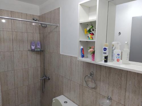 a bathroom with a shower with a toilet and a sink at La Bonita in Ezeiza