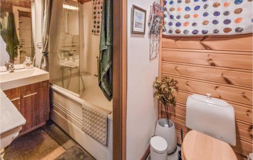 a bathroom with a toilet and a sink at Nice Home In Rldal With 4 Bedrooms in Røldal