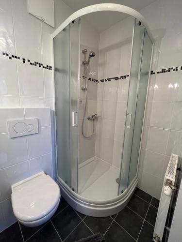 a bathroom with a shower and a toilet at Privatzimmer Familie Pair/Schmoll in Spital am Semmering