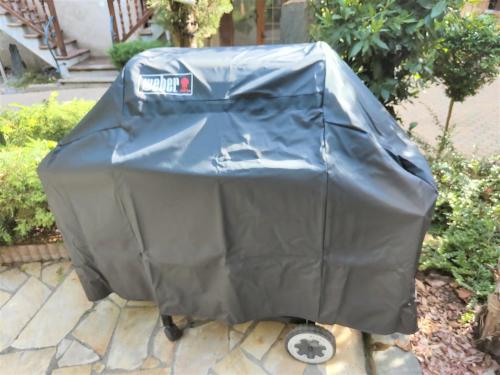 a cart covered in a blue tarp on a patio at GÎTE DE LA FONTAINE in Wangen