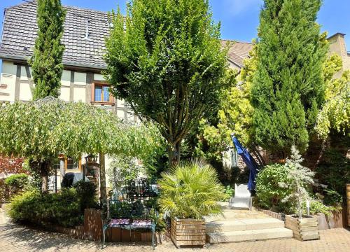 a garden with trees and plants in front of a house at GÎTE DE LA FONTAINE in Wangen