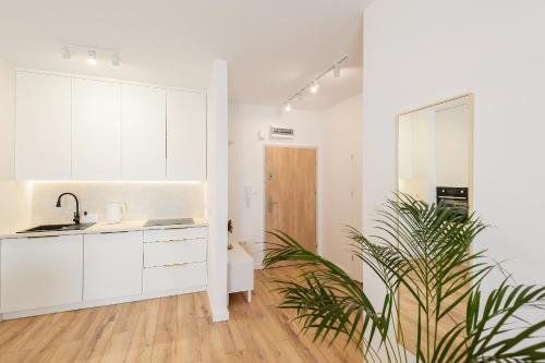 a kitchen with white cabinets and a potted plant at Nowy apartament nad rzeką Iławka z klimatyzacją in Iława