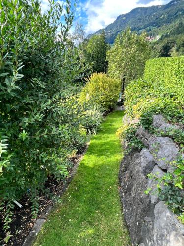 a garden with bushes and a stone wall at 2-Zimmer Ferienwohnung an ruhiger Lage in Triesenberg