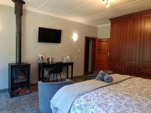 a bedroom with a bed with a fireplace and a tv at Ikamu's lodge in Germiston