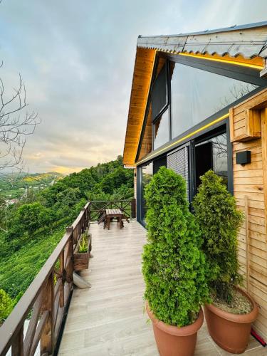 a balcony of a house with potted plants at Greenlife Dağevleri in Rize
