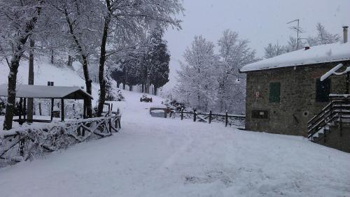 Το Agriturismo Podere Omomorto τον χειμώνα