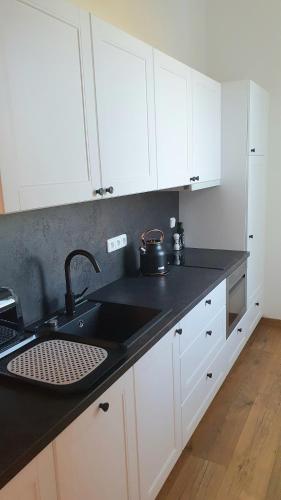 Η κουζίνα ή μικρή κουζίνα στο Moderní apartmán na Šumavě - Zdíkovec 21