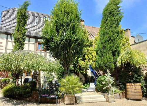 a house with trees and plants in front of it at GÎTE DE LA FONTAINE in Wangen