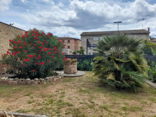 two bushes with red flowers in a yard at La maison de nonnì in Buonconvento