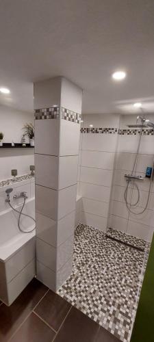 een badkamer met een douche, een bad en een wastafel bij Malcherhaus 