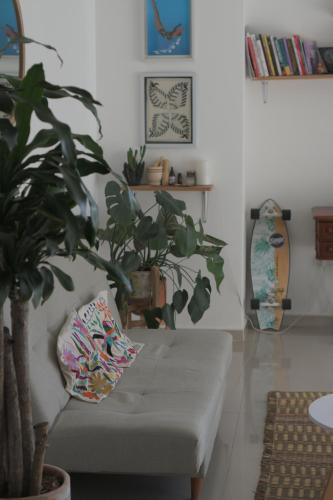 uma sala de estar com um sofá e um vaso de plantas em Matilda apt - Feel at home in Barranquilla em Barranquilla