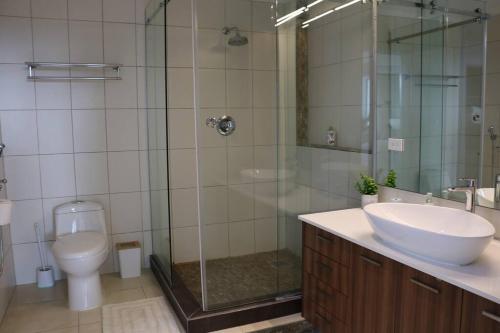 a bathroom with a shower and a sink and a toilet at PU4A Big Apt Overlooking Parque Urraca City Center in Panama City