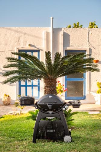 a palm tree sitting in the grass next to a scooter at To Pyrgaki Kos in Kos Town