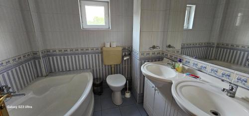 布希坦尼的住宿－Vila Craciunita，带浴缸、盥洗盆和卫生间的浴室