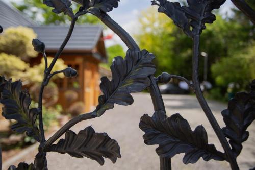 Taman di luar Noclegi Pod Dębem u Jakuba