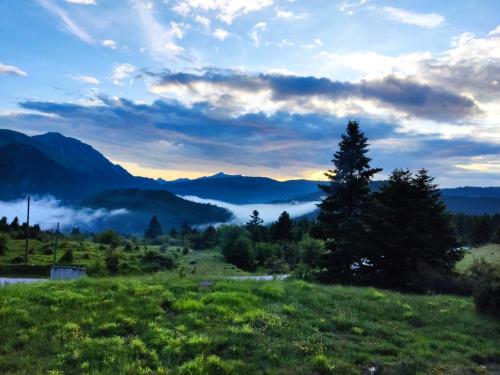 a view of a field with a tree and mountains at Katafygio Chalet, Krikello in Kríkellon