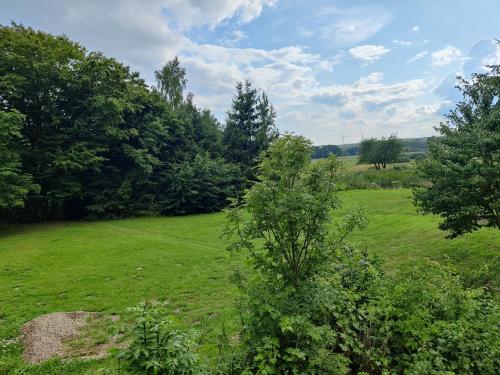 a green field with trees in the distance at Osada Karszewo, sauna bania, ryby in Karszewo