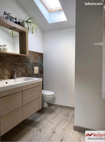 ein Badezimmer mit einem Waschbecken, einem WC und einem Dachfenster in der Unterkunft Chambre + SDB + Piscine in Grenade-sur-Garonne