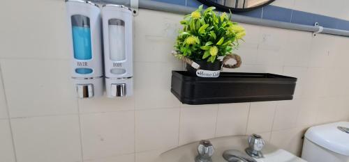 ein Badezimmer mit einer Topfpflanze an der Wand in der Unterkunft Sunset view,Ground Floor to BEACH, 1-5pax in Port Dickson