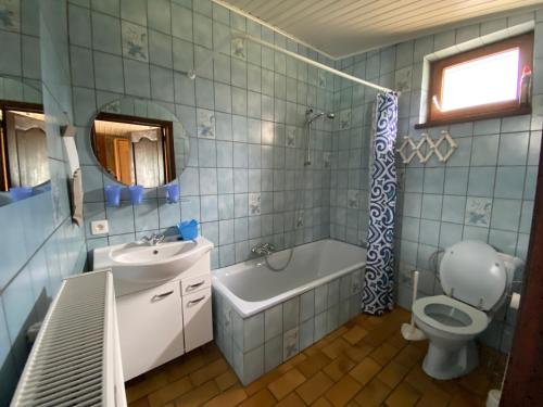 La salle de bains est pourvue de carrelage bleu, d'un lavabo et de toilettes. dans l'établissement Quiétude à la ferme, à Houdremont