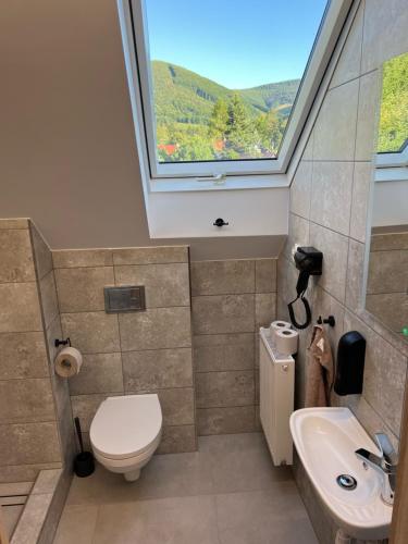 a bathroom with a toilet and a sink and a window at Hotel U Kociana in Trojanovice