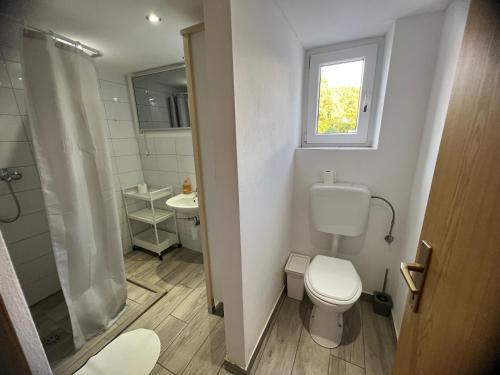 a bathroom with a toilet and a sink and a window at Lemonwood House in Postojna