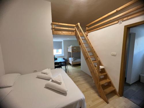 a bedroom with a bunk bed and a ladder at Lemonwood House in Postojna